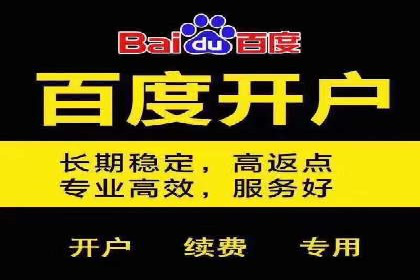 百度推广案例：助力企业飞速发展的秘诀